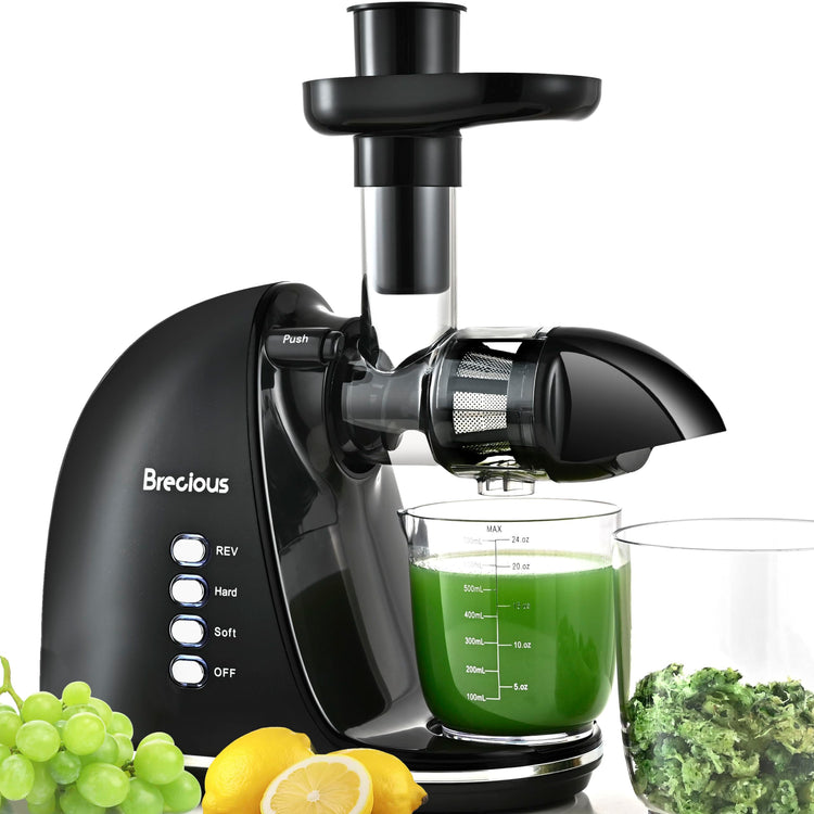 Slow Masticating Juicer
