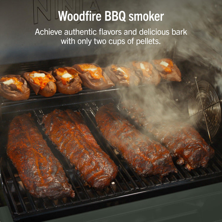 FlexFlame Grill & Smoker