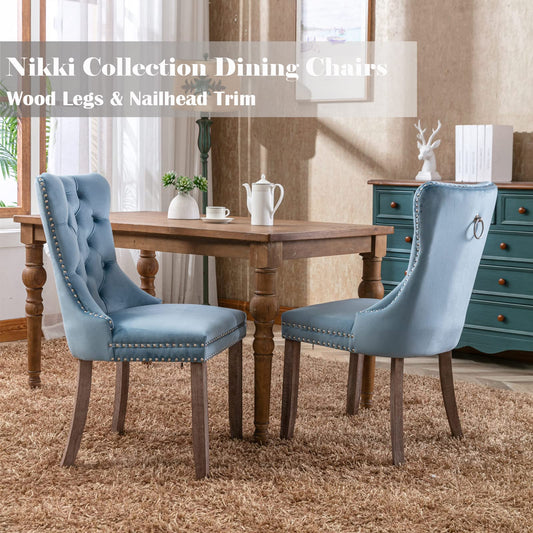Light Blue Velvet Dining Chairs Set of 2 (2 Count)
