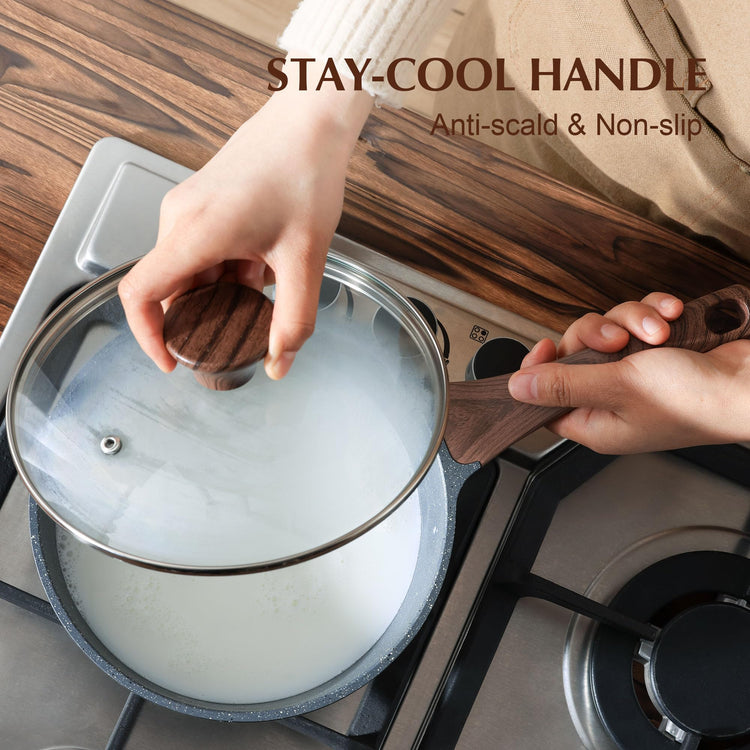 Nonstick Sauce Pan Set with Lid (2 Count)