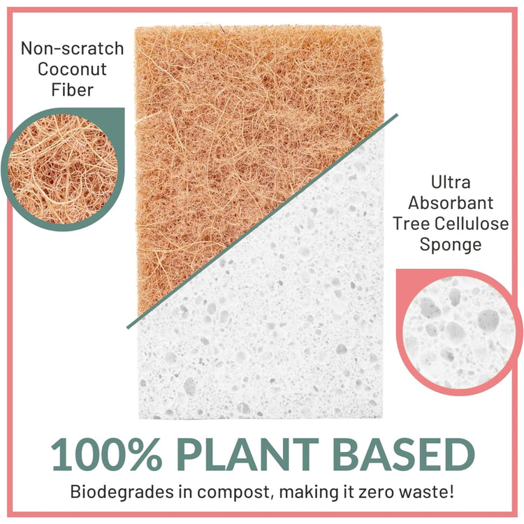 White 12 Pack Biodegradable Kitchen Sponge (12 Count)