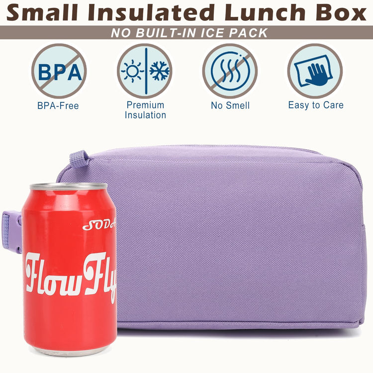 Small Insulated Lunch box Portable Soft Bag Mini Cooler Thermal Meal Tote Kit with Buckle for Work