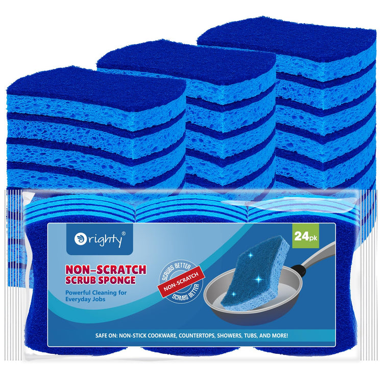 Non Scratch Scrub Sponges (24 Count)