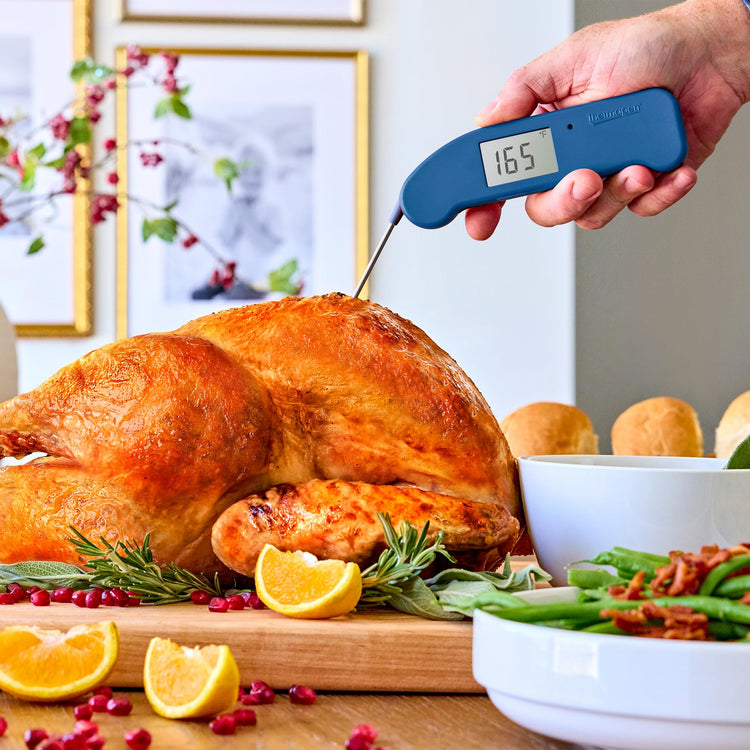 Thermapen ONE