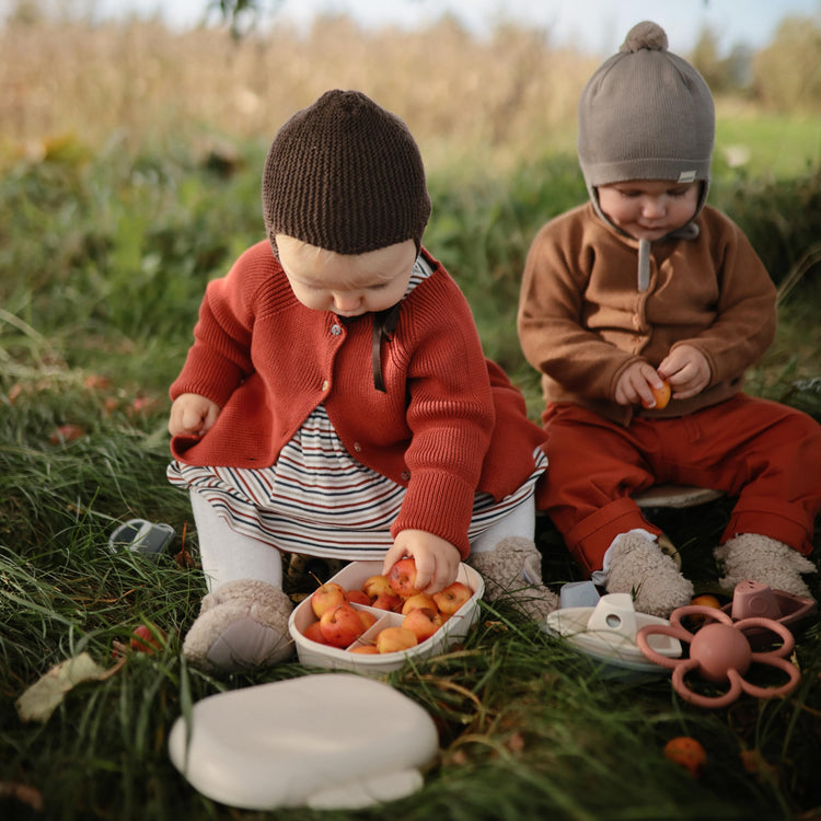 Kids Bento Lunch Box