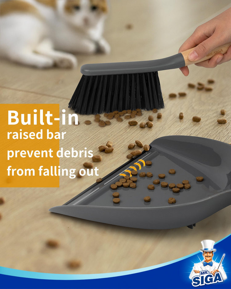 Dustpan and Brush Set
