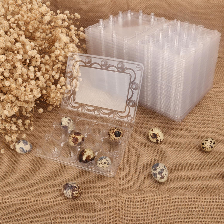 200 Pack Quail Egg Cartons (200 Count)