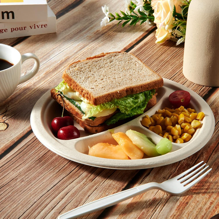 Vplus 100% Compostable Paper Plates, 125 Pack 9 Inch 3 Compartment Plates Disposable, Heavy Duty Biodegradable Plates Made of Sugar Cane Fibers, for Daily meals, Dinner, Parties, BBQ