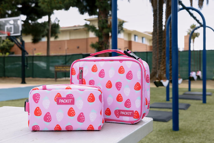 Freezable Classic Lunch Box