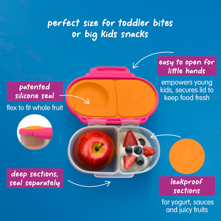 Snack Box 2 Pack (2 Count)