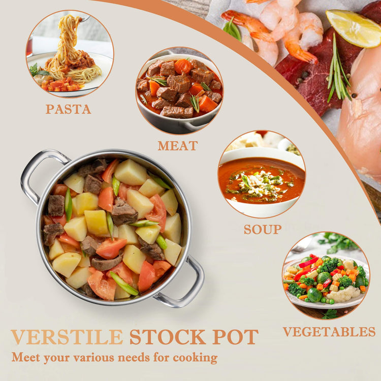 12 QT Stock Pot