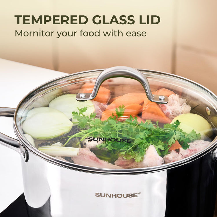 13 Quart Stock Pot with Lid