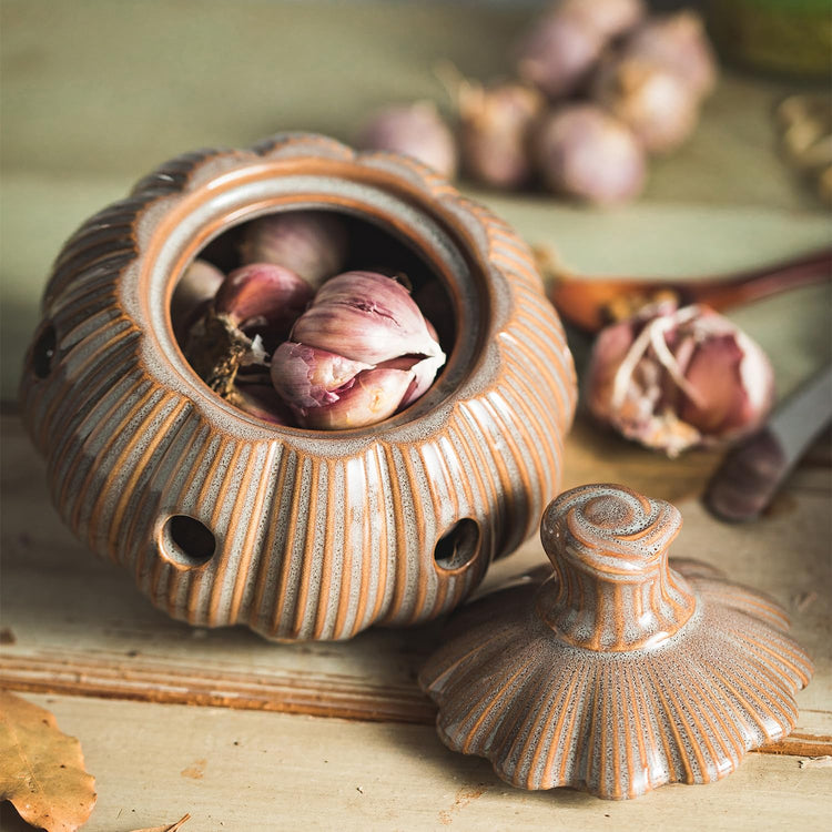 Large Garlic Keeper Storage for Counter