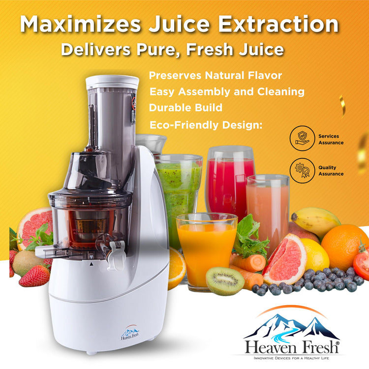 Cold Press Slow Masticating Juicer
