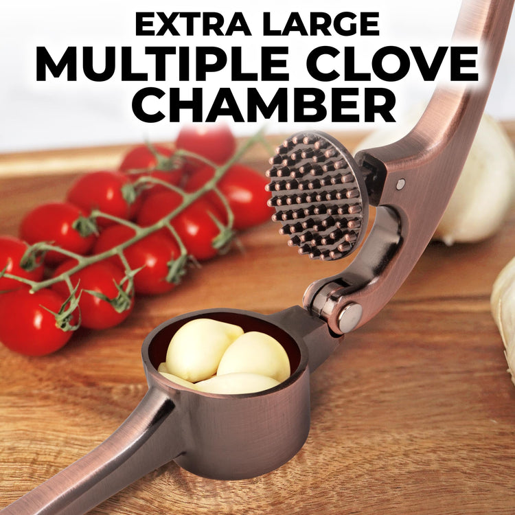 Large Premium Garlic Press Set