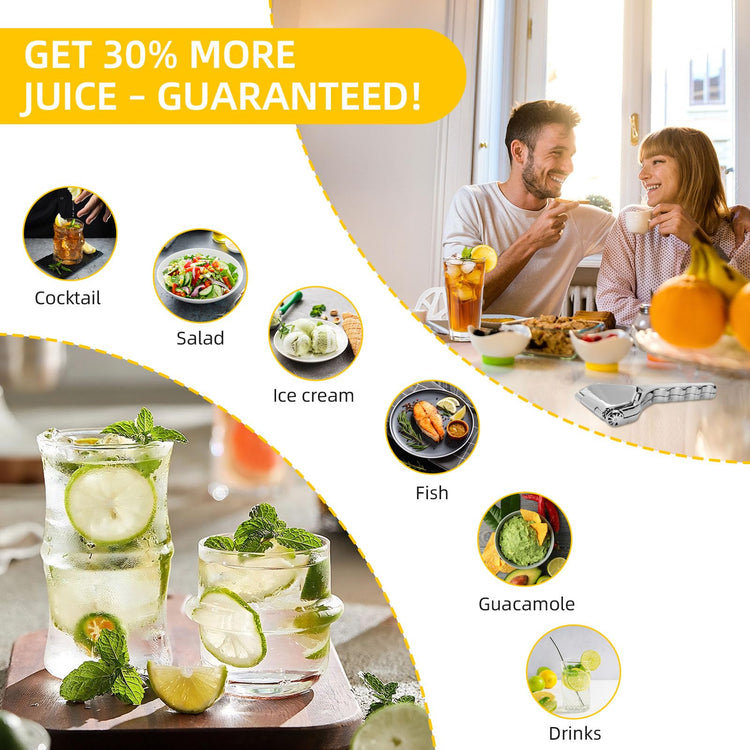 Lemon Squeezer Stainless Steel