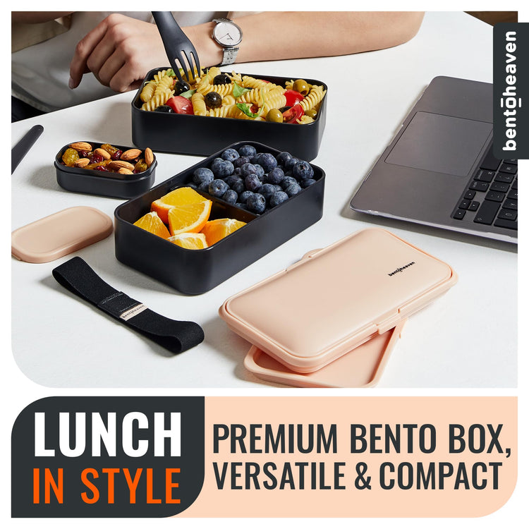 Bento Box Adult