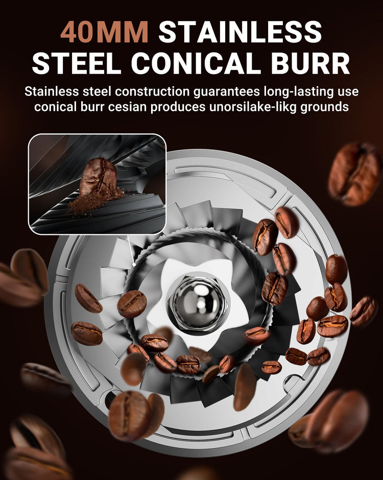 Conical Burr Coffee Grinder