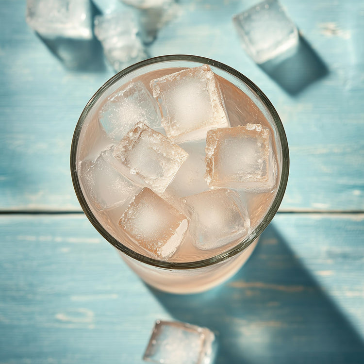 Ice Cube Tray with Lids (2 Count)