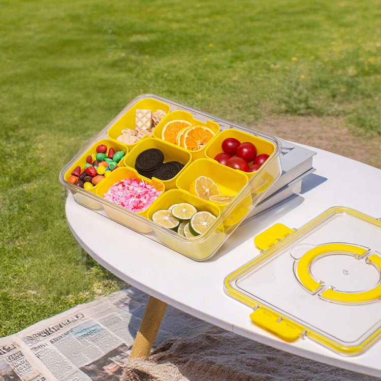Divided Serving Tray with Lid and Handle