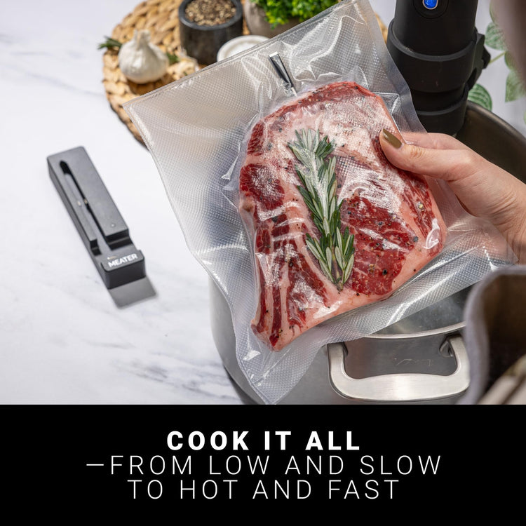 SE Wireless Smart Meat Thermometer