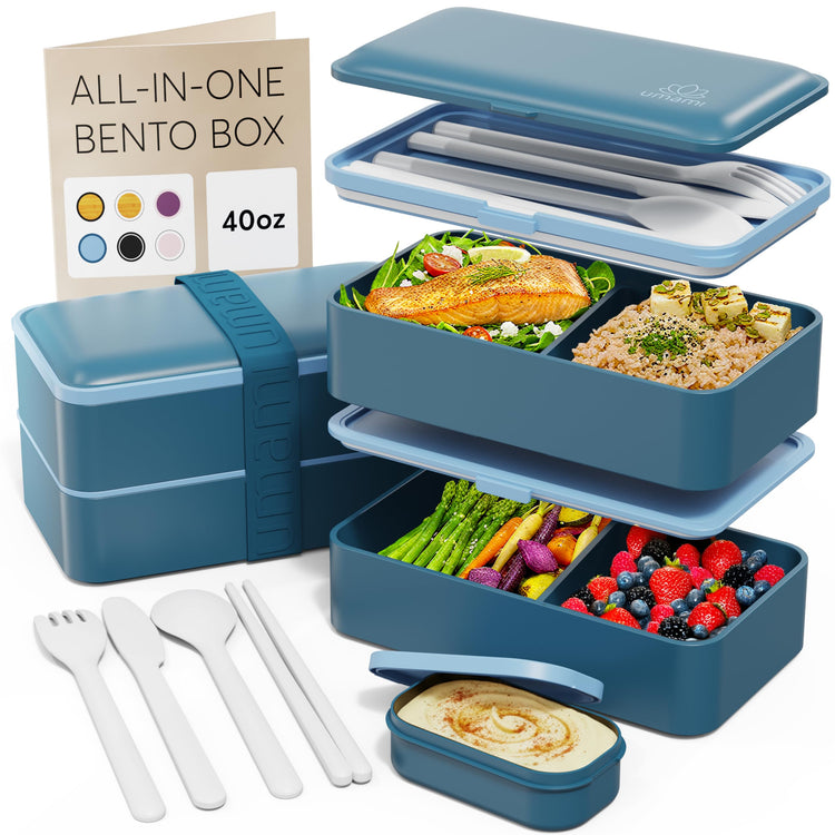 Bento Box Adult