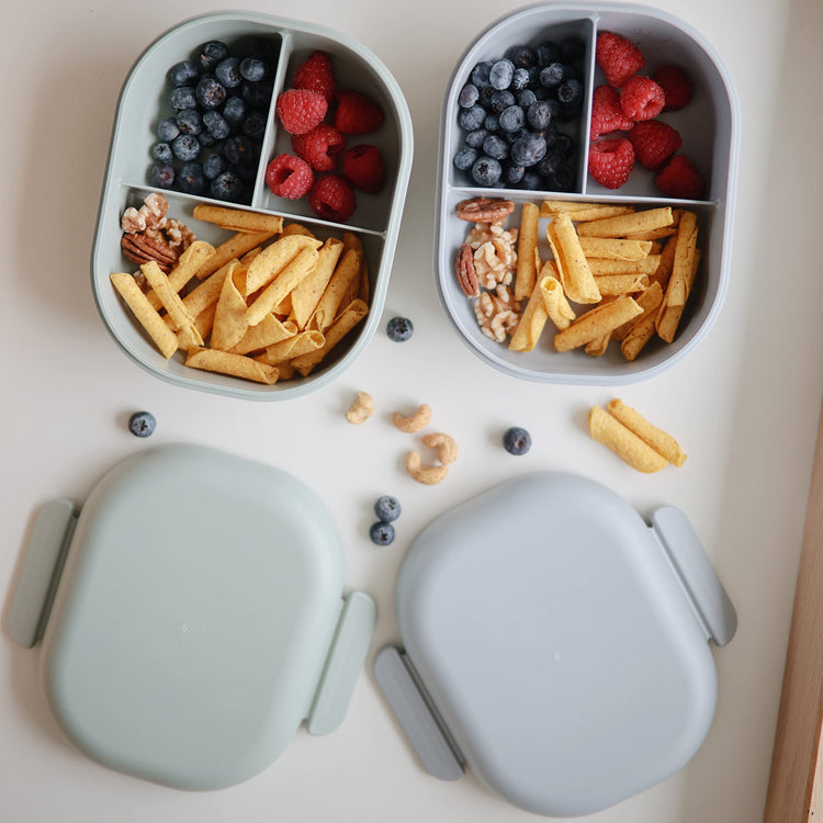 Kids Bento Lunch Box