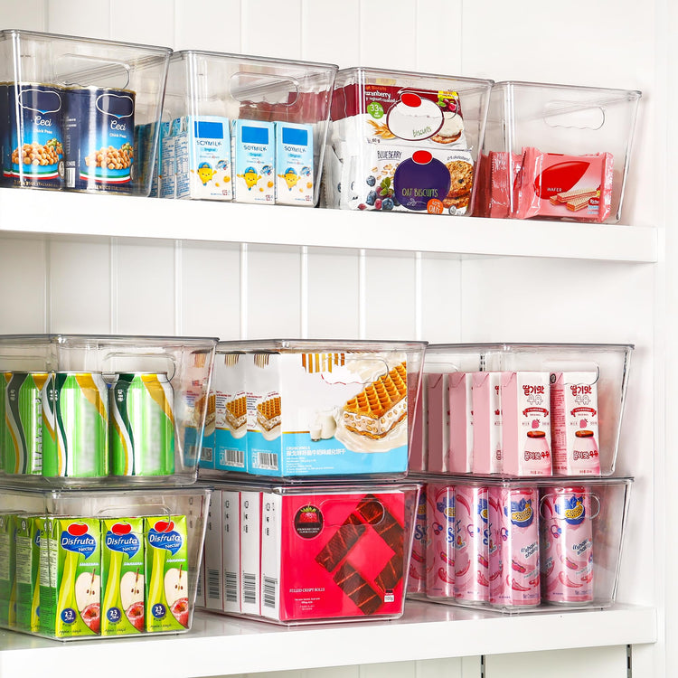 2 Pack Clear Stackable Storage Bins with Lids and Handles (2 Count)