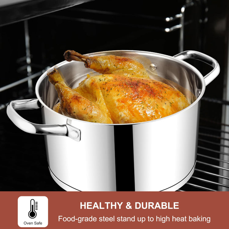 Stainless Steel Stock Pot