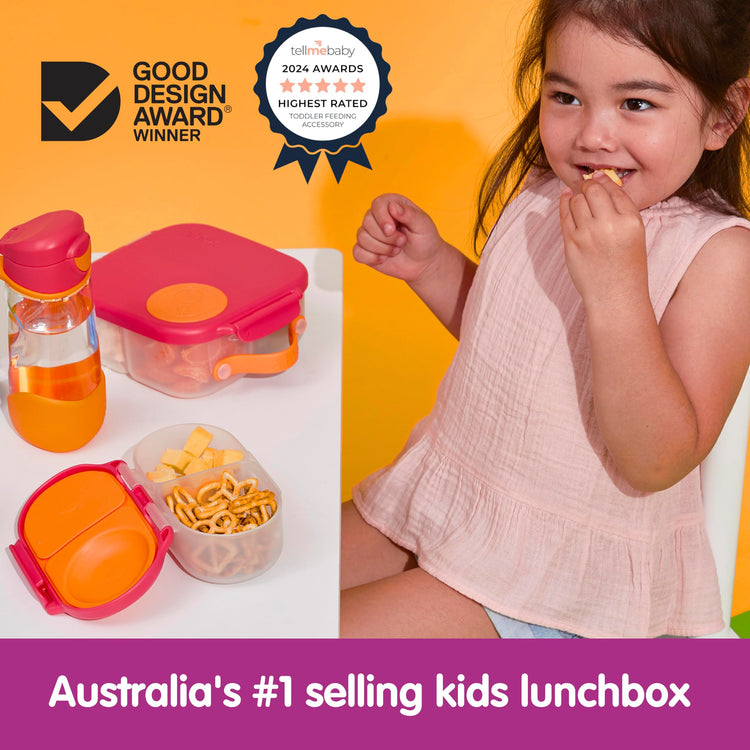 Snack Box 2 Pack (2 Count)