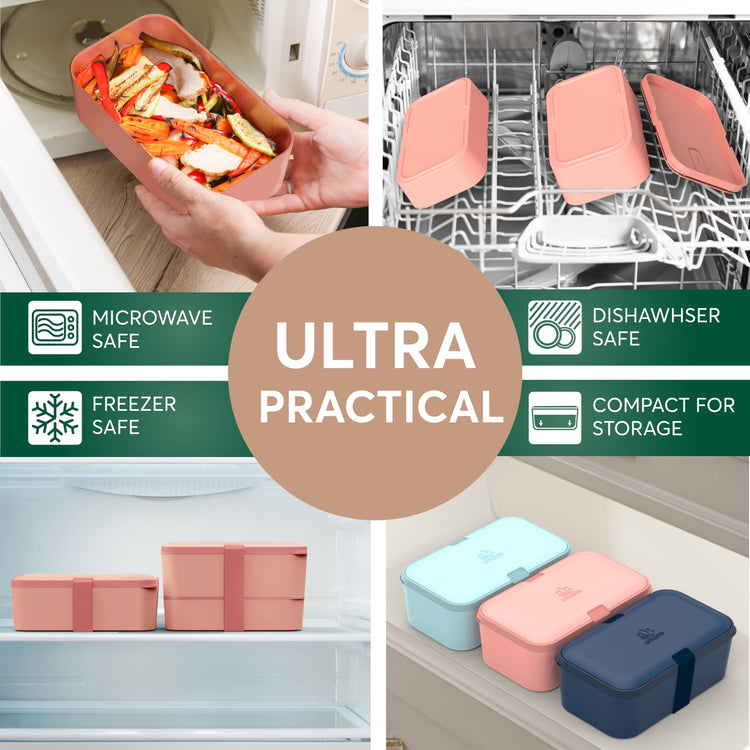 Lunch Box Containers w