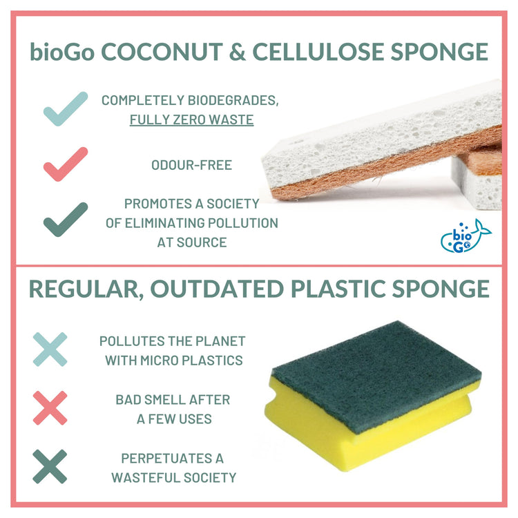 White 12 Pack Biodegradable Kitchen Sponge (12 Count)