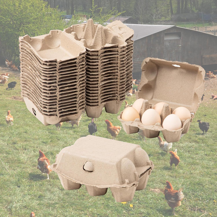 20 Pack Egg Cartons Cheap Bulk, 6 Count Egg Storage Containers Holder, Sturdy Natural Pulp Material Perfect for Storing Extra Eggs
