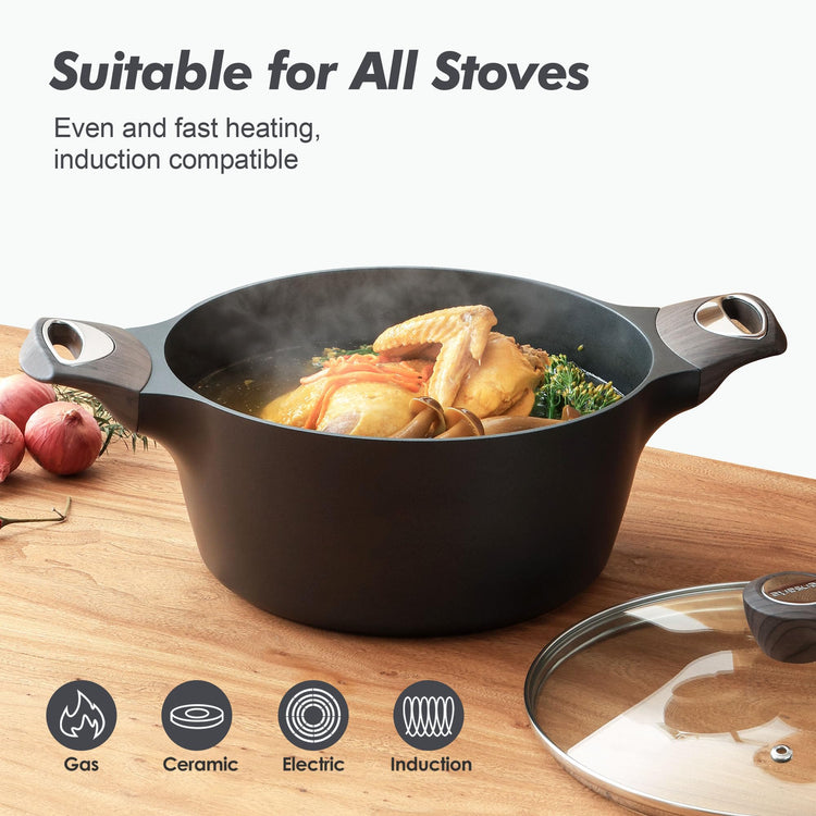 Nonstick Stock Pot with Lid