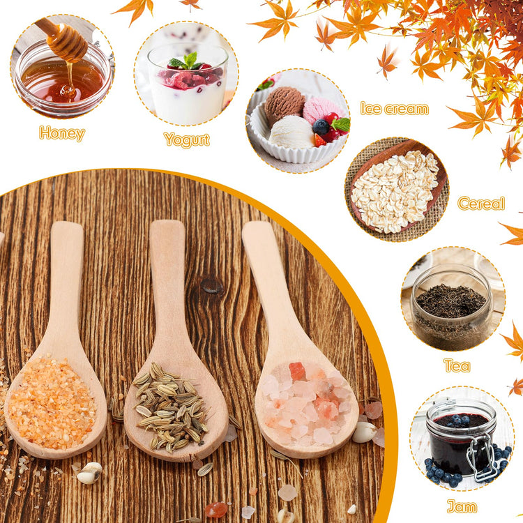100 Pcs Small Wooden Spoons (100 Count)