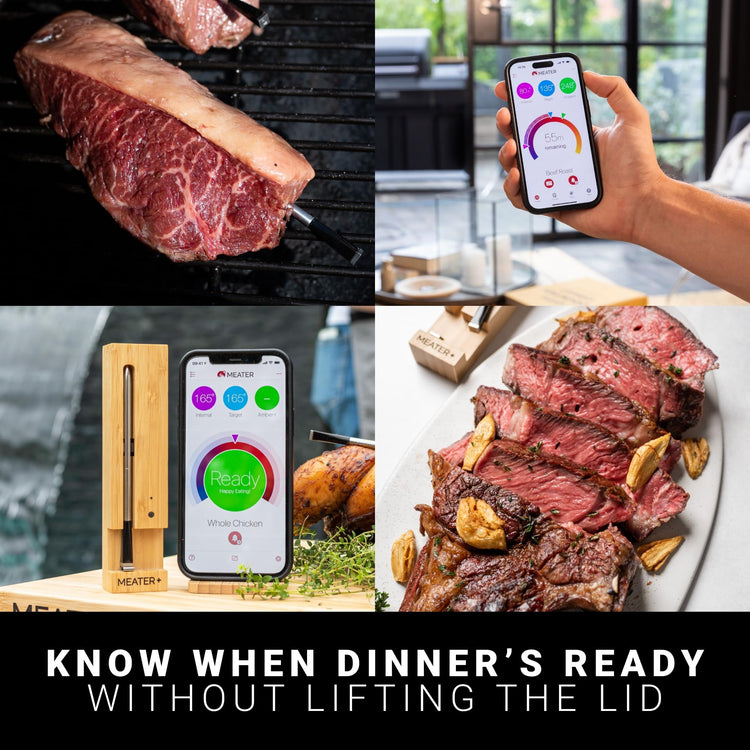 Plus Smart Meat Thermometer