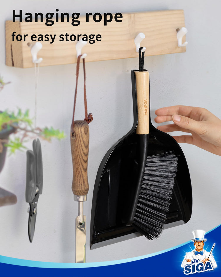 Dustpan and Brush Set