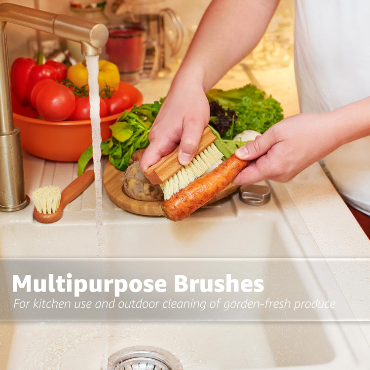 Vegetable Brush Set of 2 (2 count count)