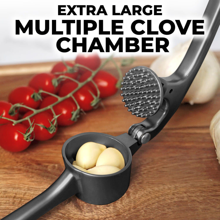 Large Premium Garlic Press Set