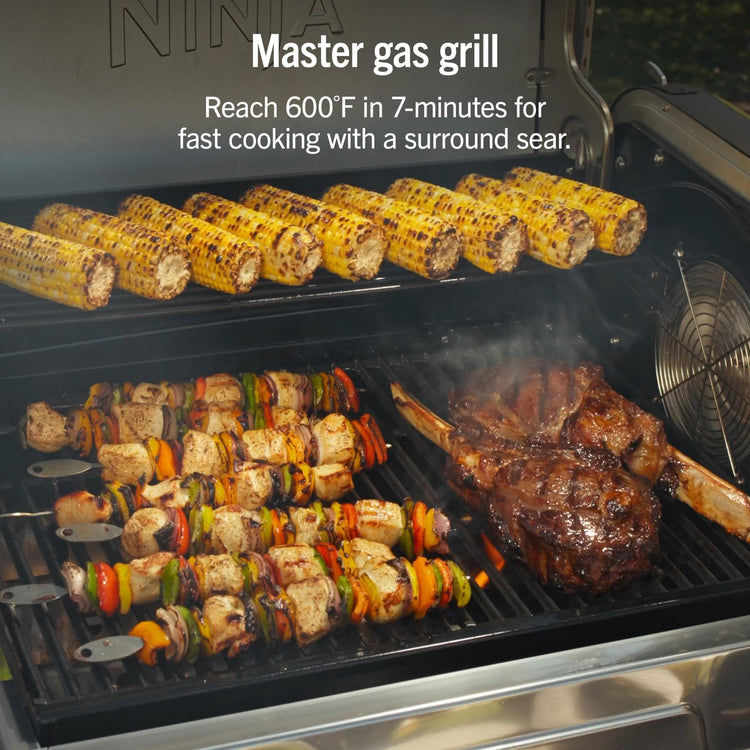 FlexFlame Grill & Smoker
