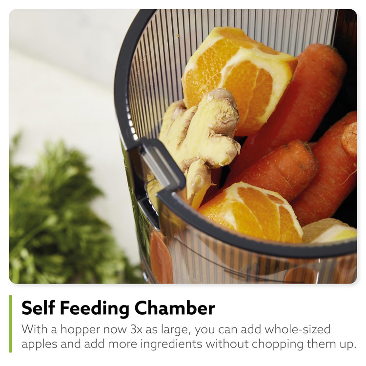 H320N Cold Press Juicer Machine