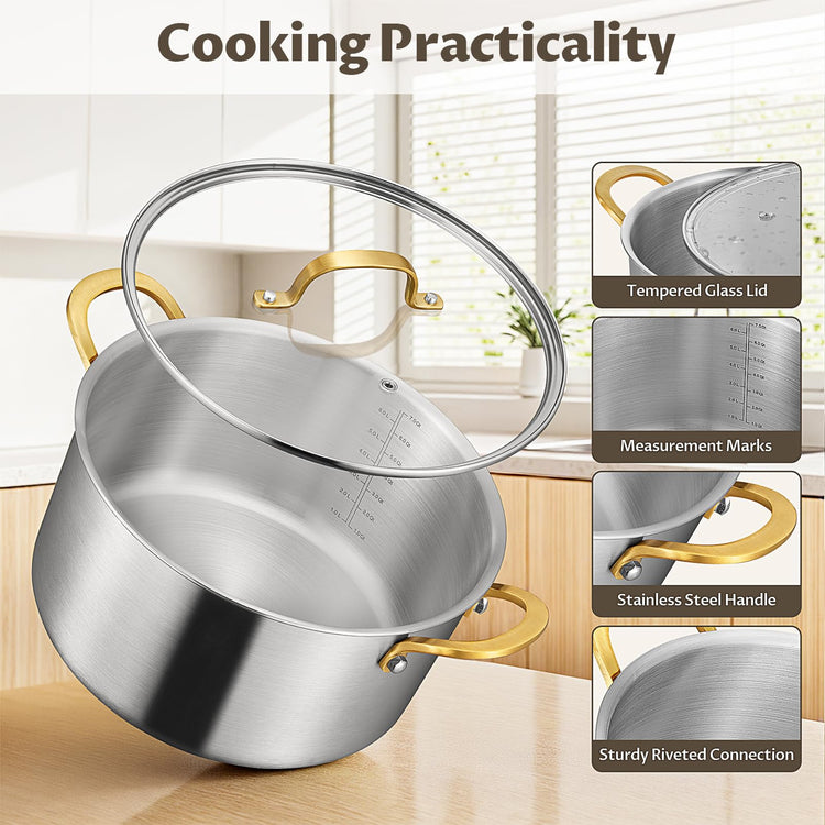 6 QT Stock Pot with Lid
