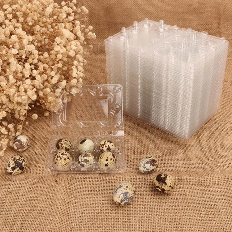 300 Pack Quail Egg Cartons (300 Count)