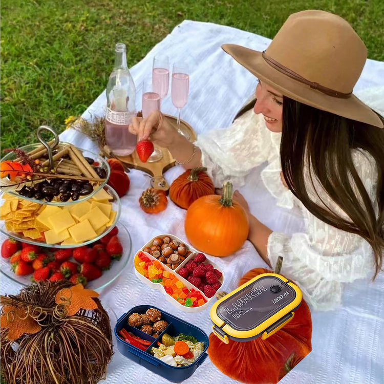 Double Layer Bento Box with Cutlery