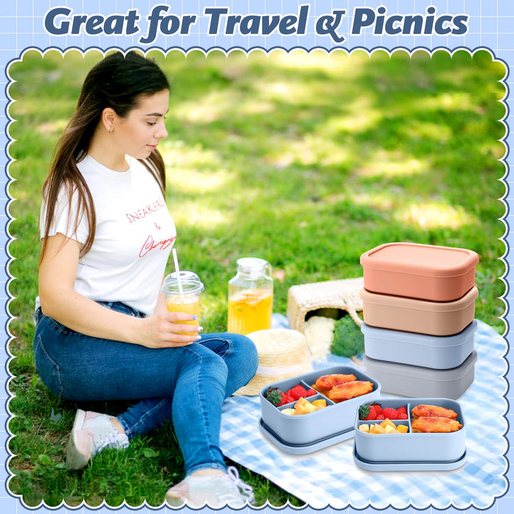 4 Pcs Silicone Bento Box (4 Count)