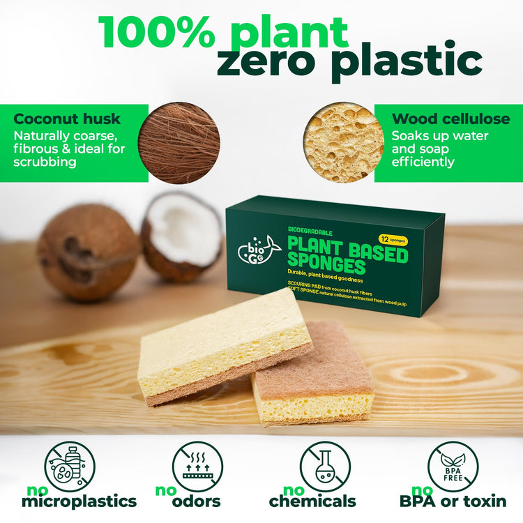 12 Pack Natural Biodegradable Kitchen Sponges (12 Count)