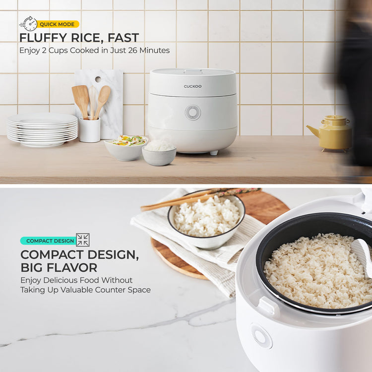 Micom Fuzzy Logic Rice Cooker