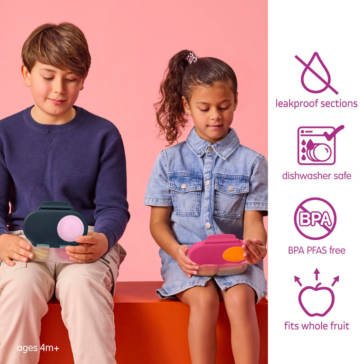 Snack Box 2 Pack (2 Count)
