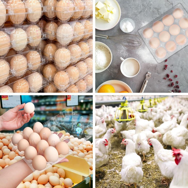 150 Pack Bulk Egg Cartons (150 Count)