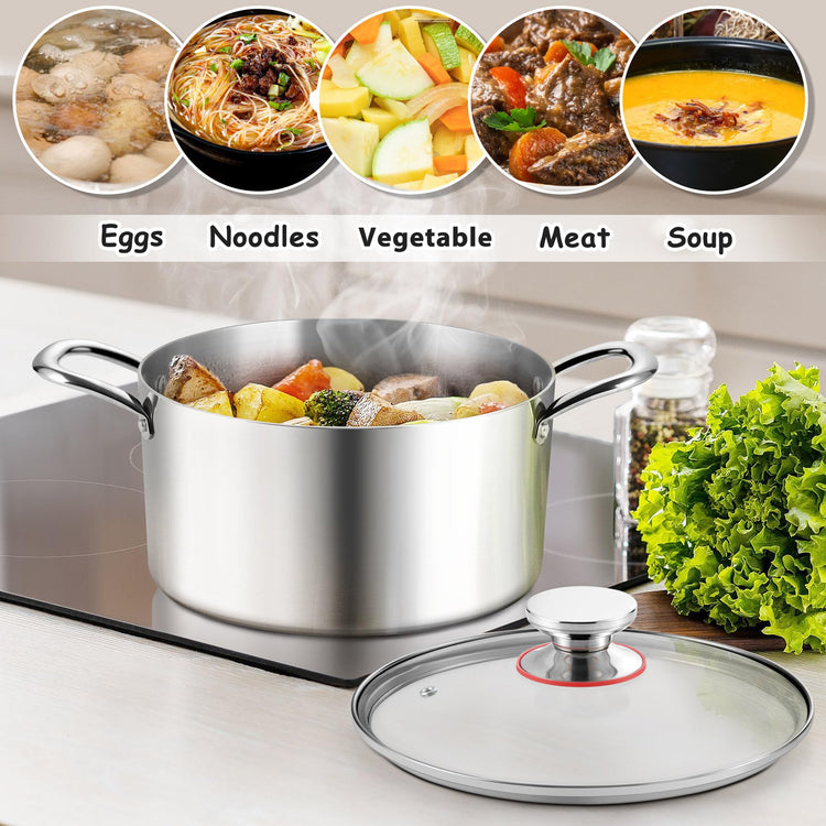 6 Quart Stock Pot